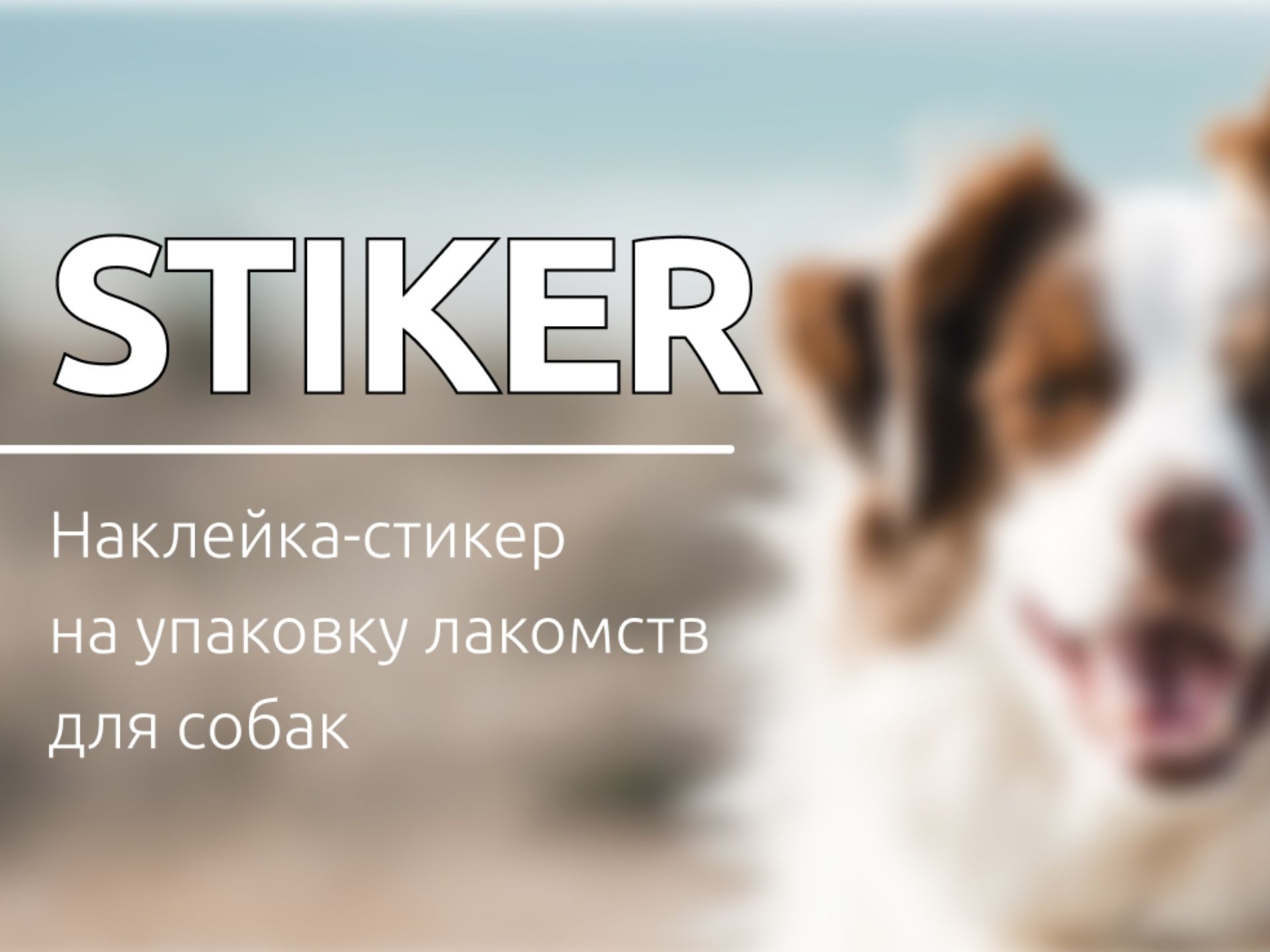 Стикер для...