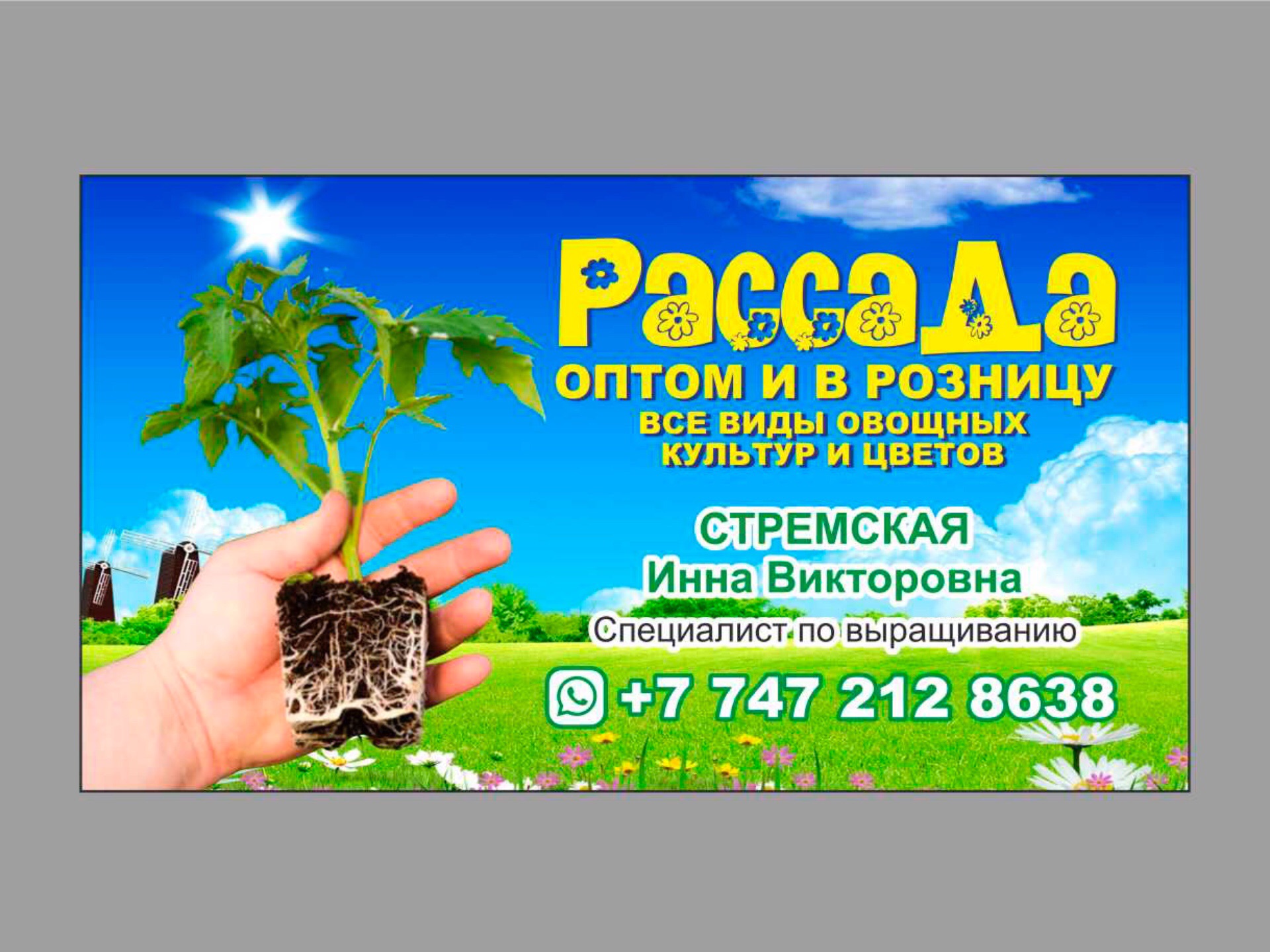 Дизайн визитки