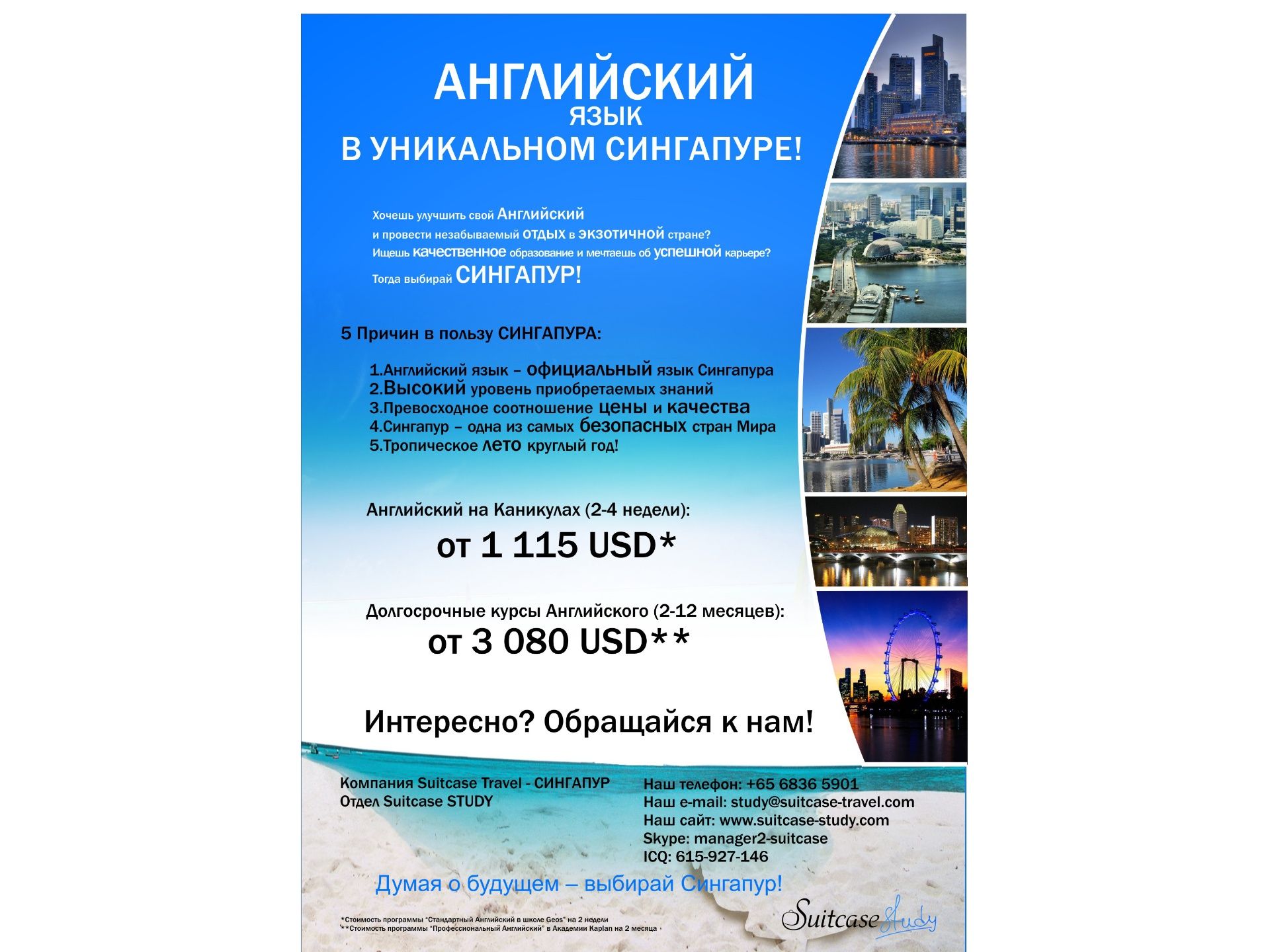 Постеры "TMC Academy"