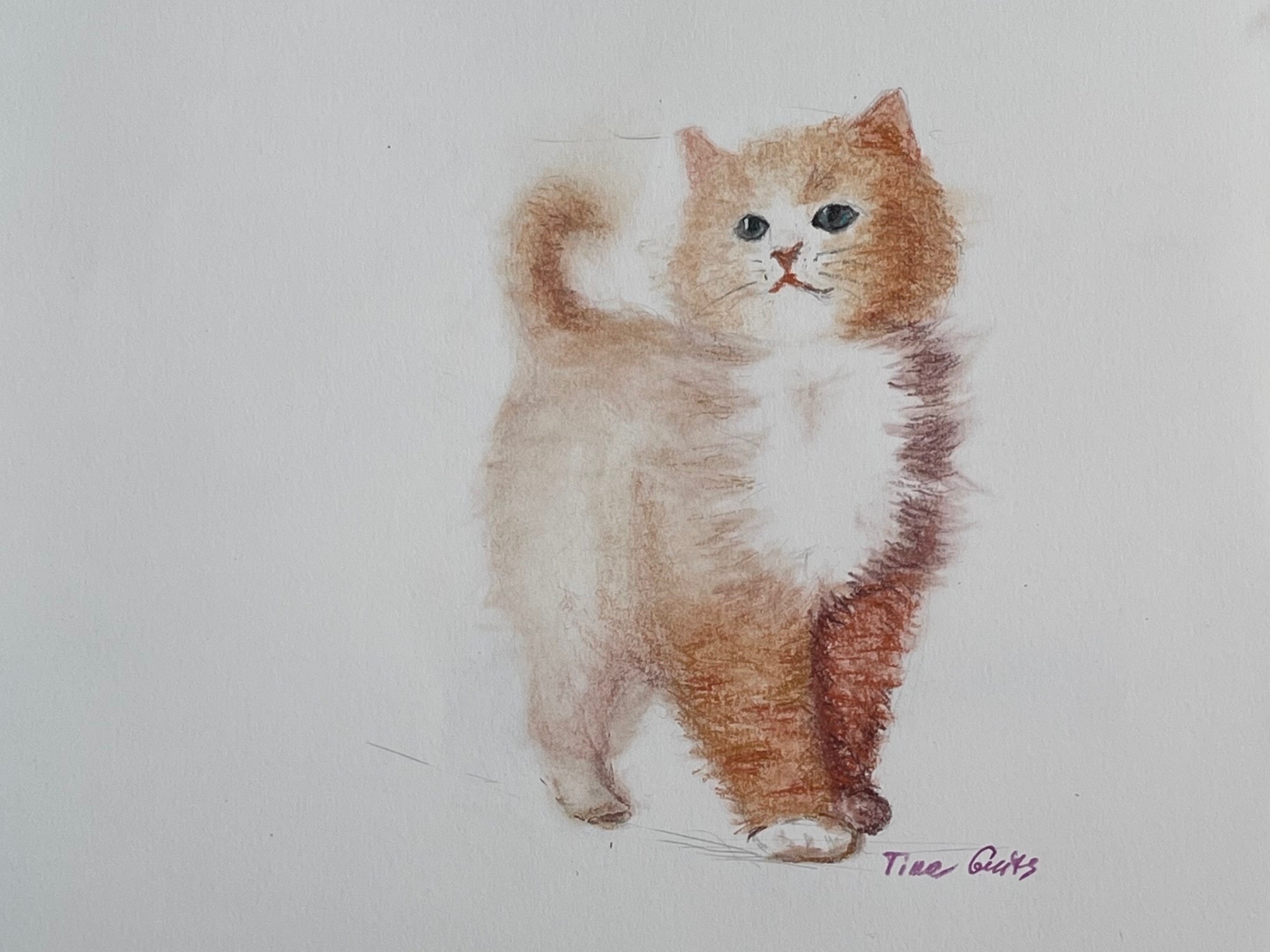 Котенок