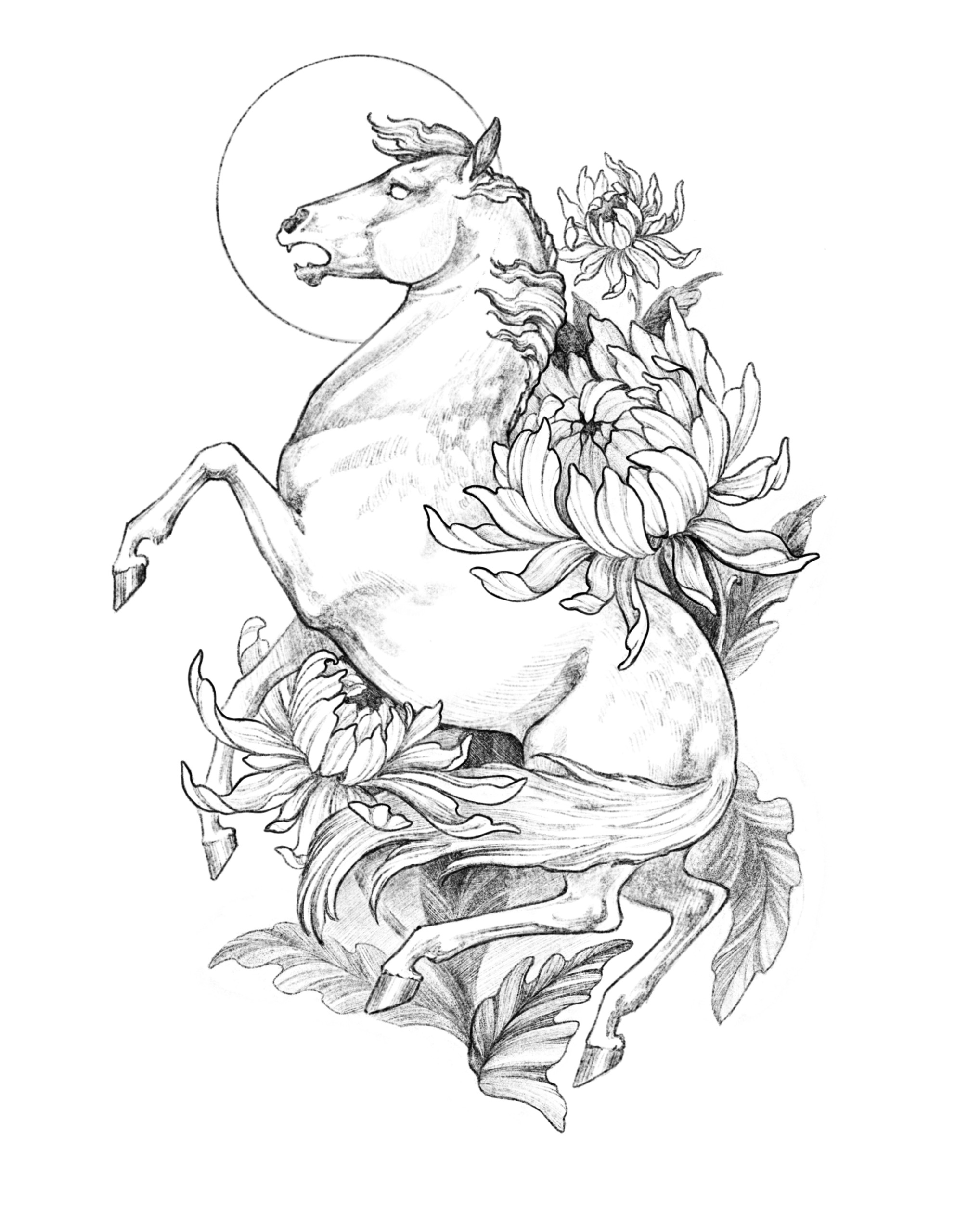 Procreate