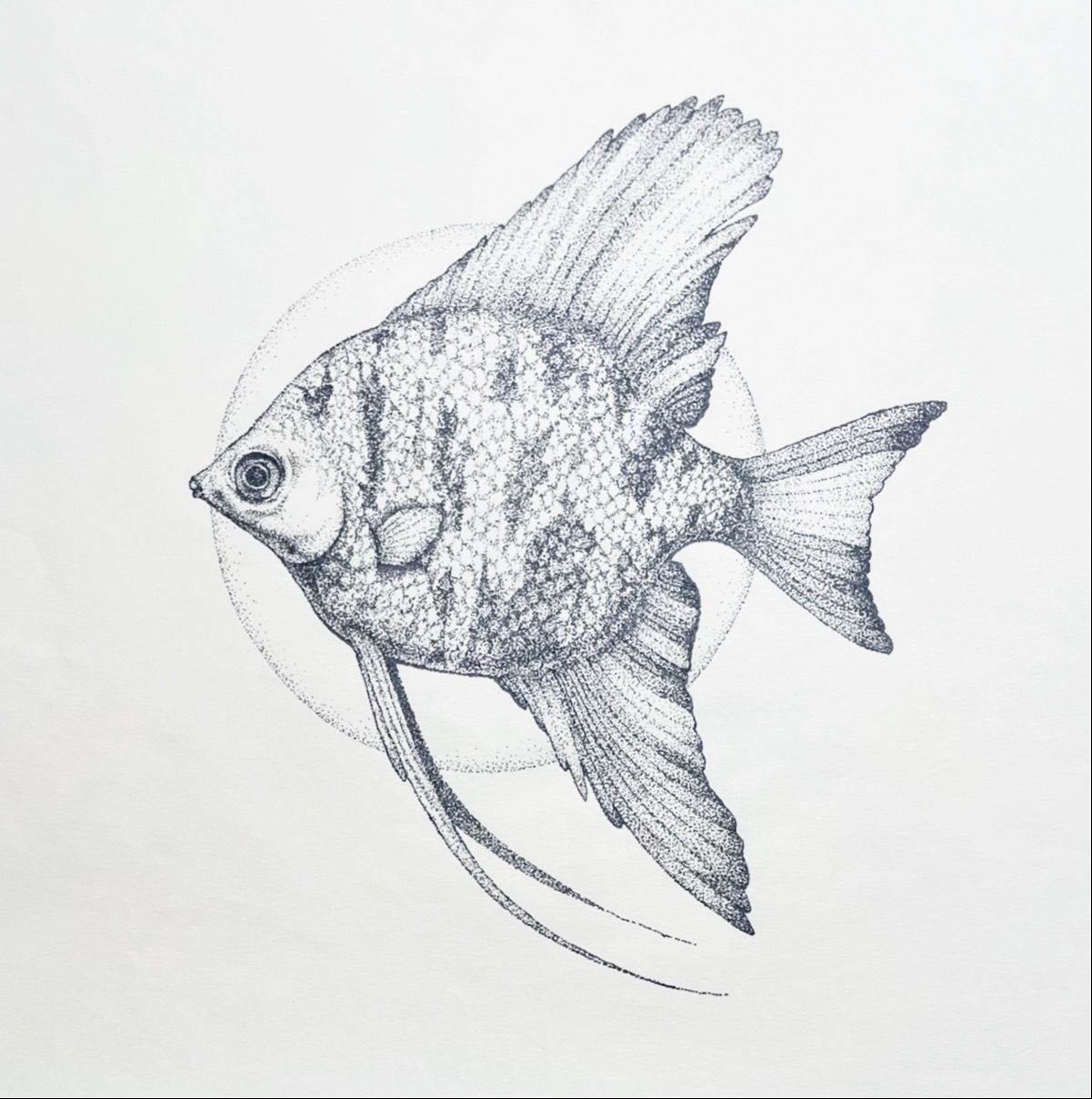 Dotwork illustrations