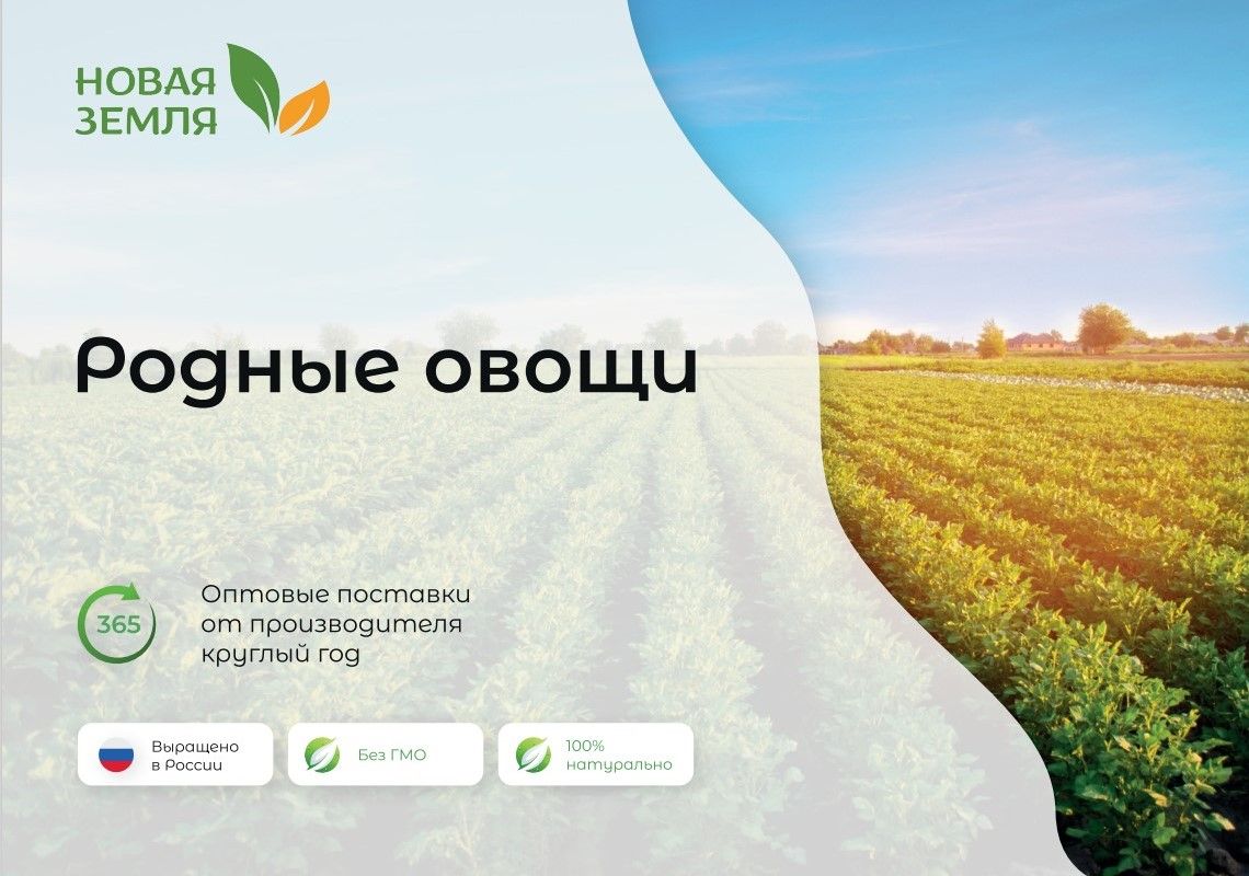 Презентация для поставщиков овощей