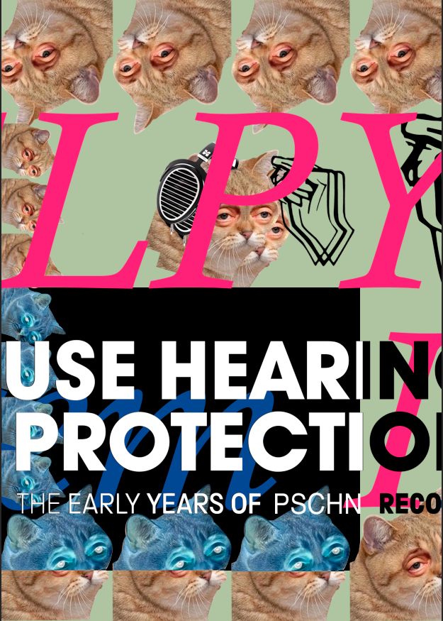 USE HEARING PROTECTION
