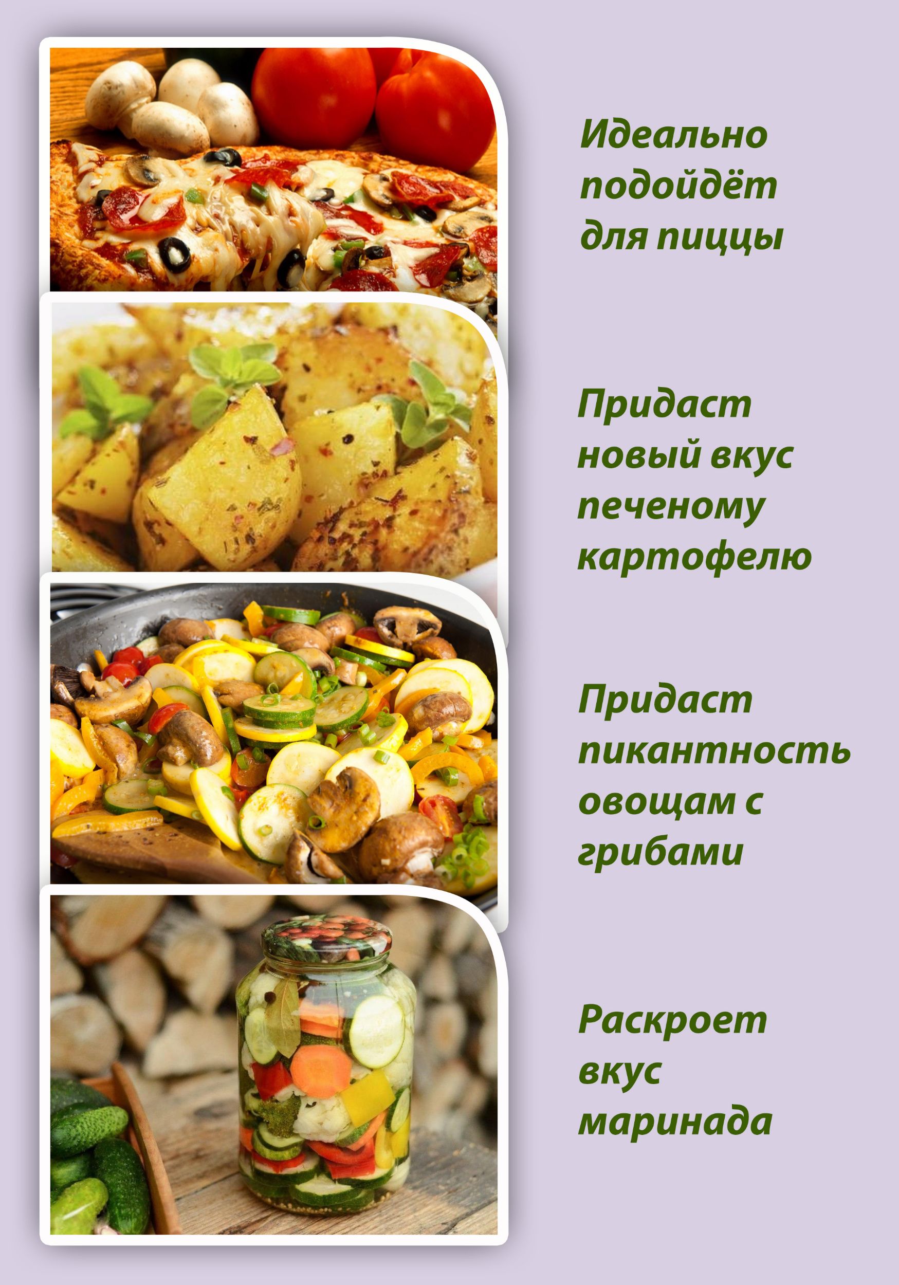 описание использования Орегано