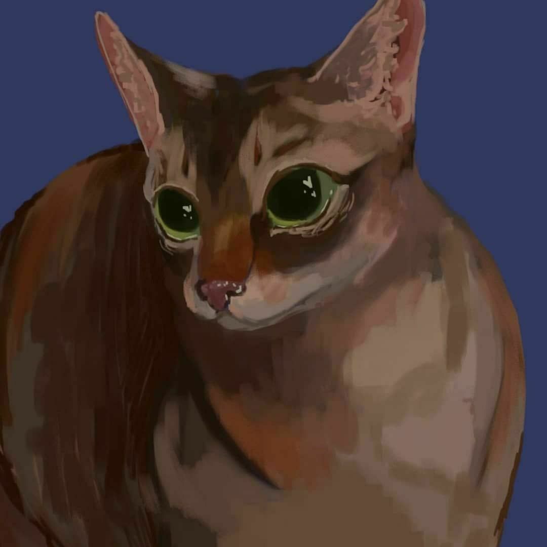Кот