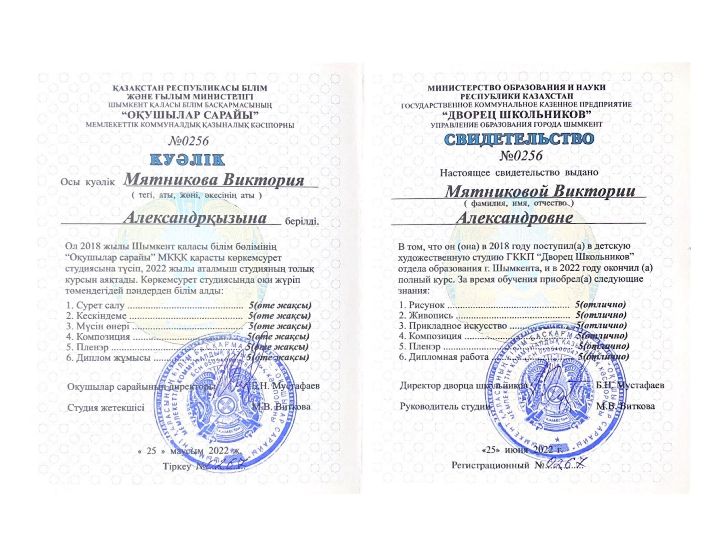 индивидуальные достижения