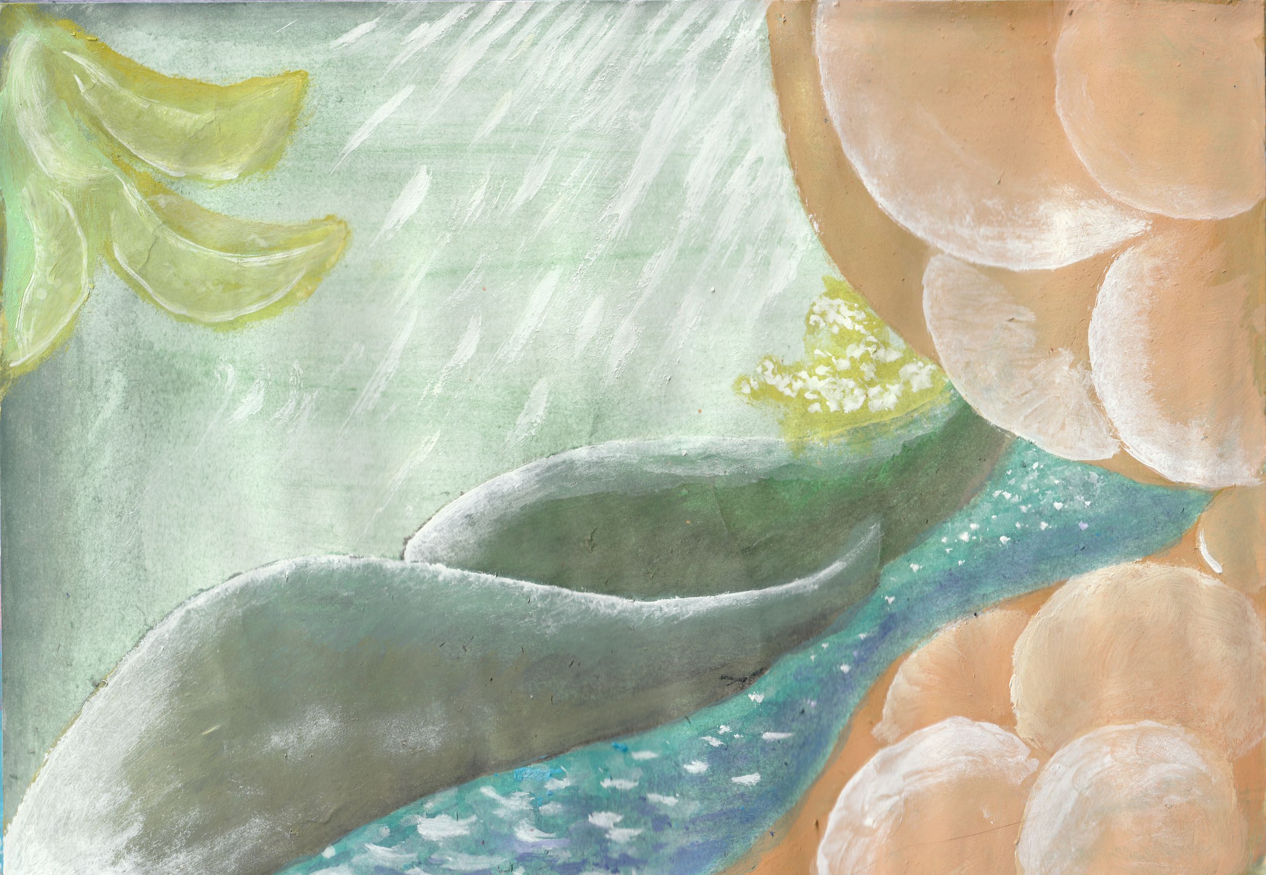 рисунки 1