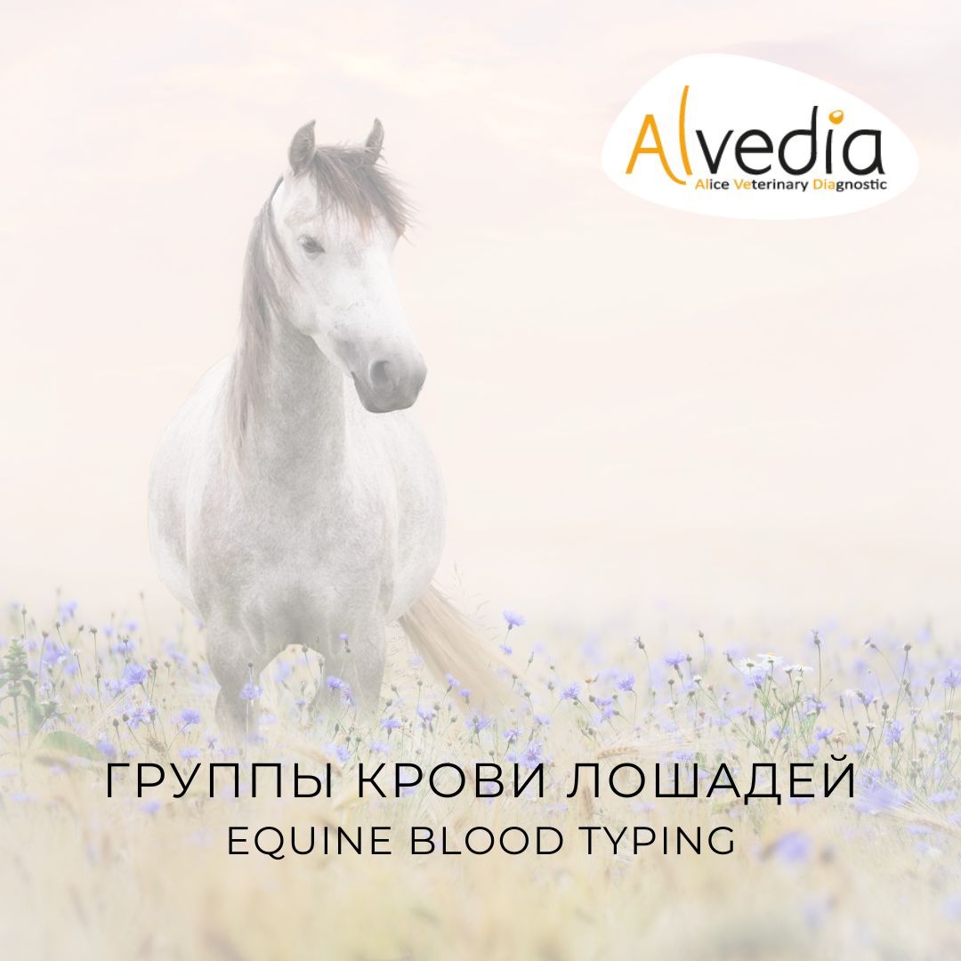 Посты Instagram