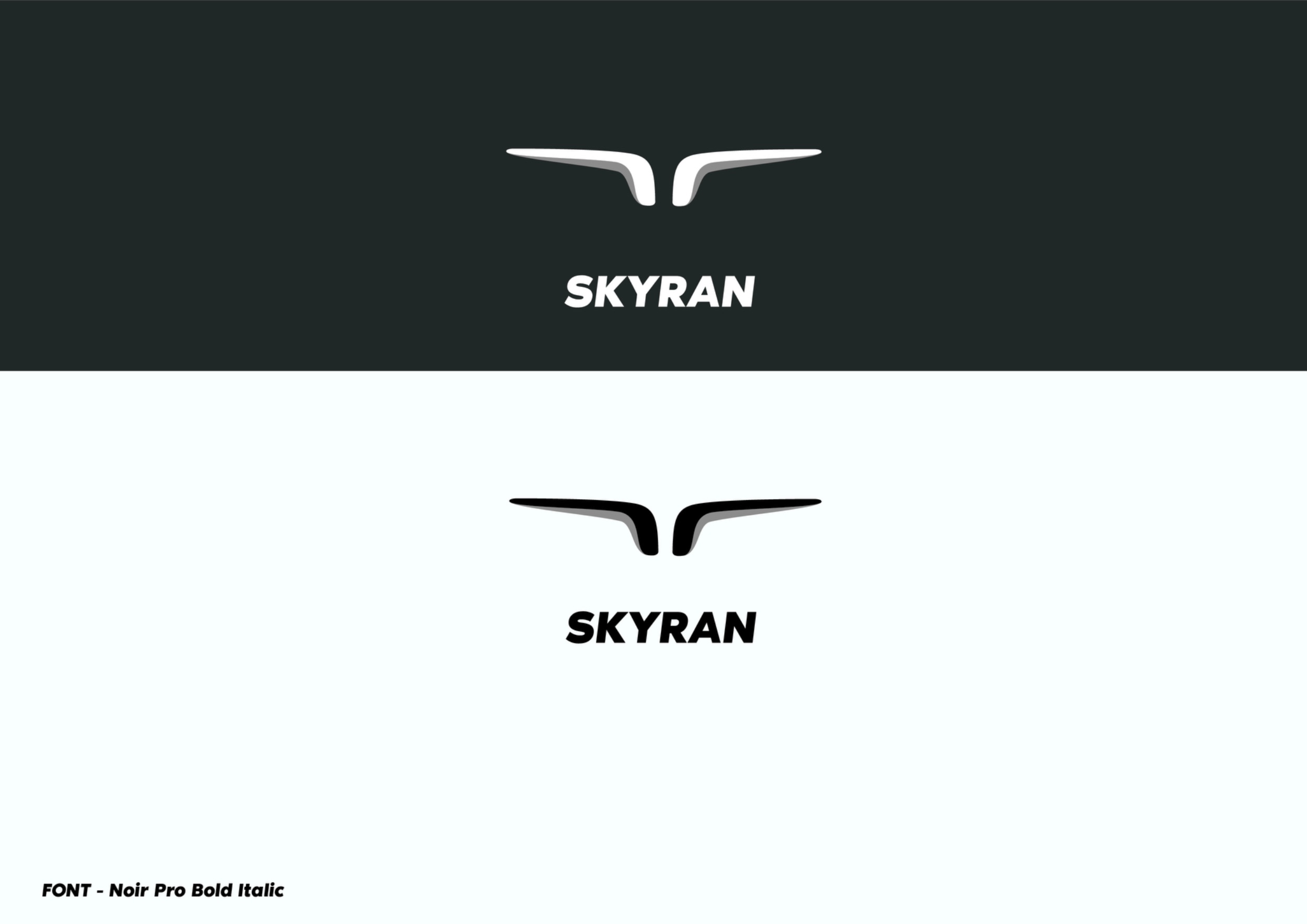 SKYRAN. Логотип