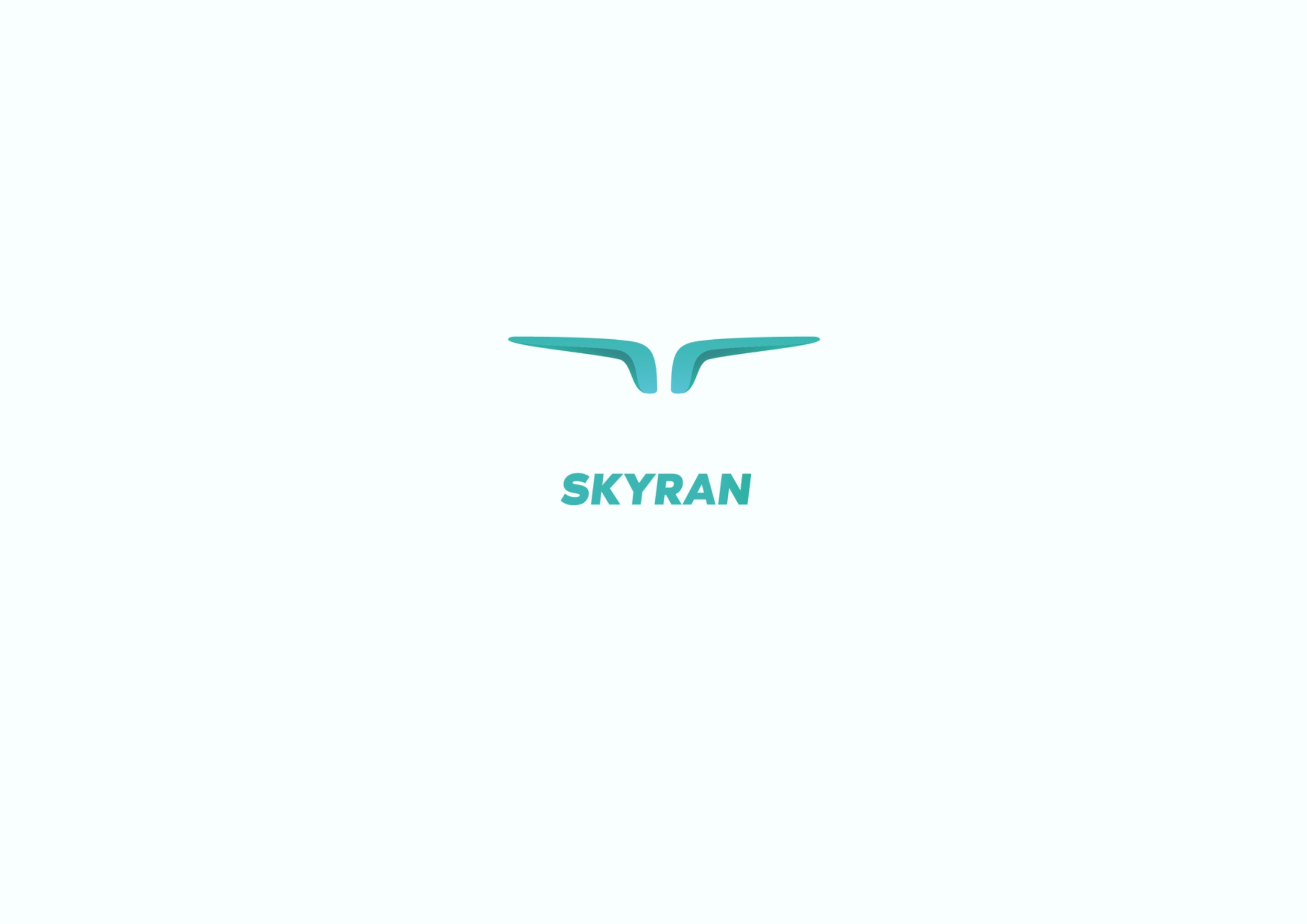 SKYRAN. Логотип