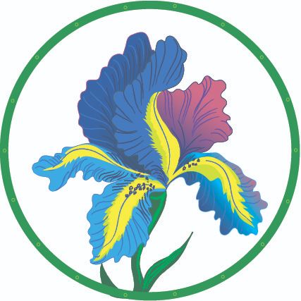 Векторные изображения