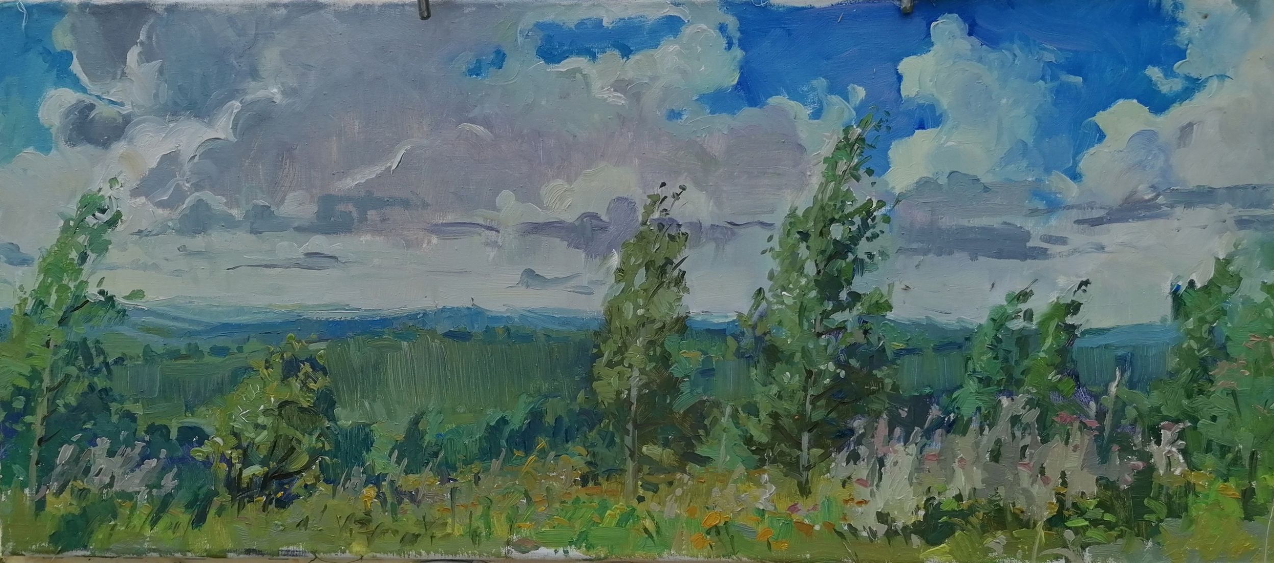 Пейзаж летний.