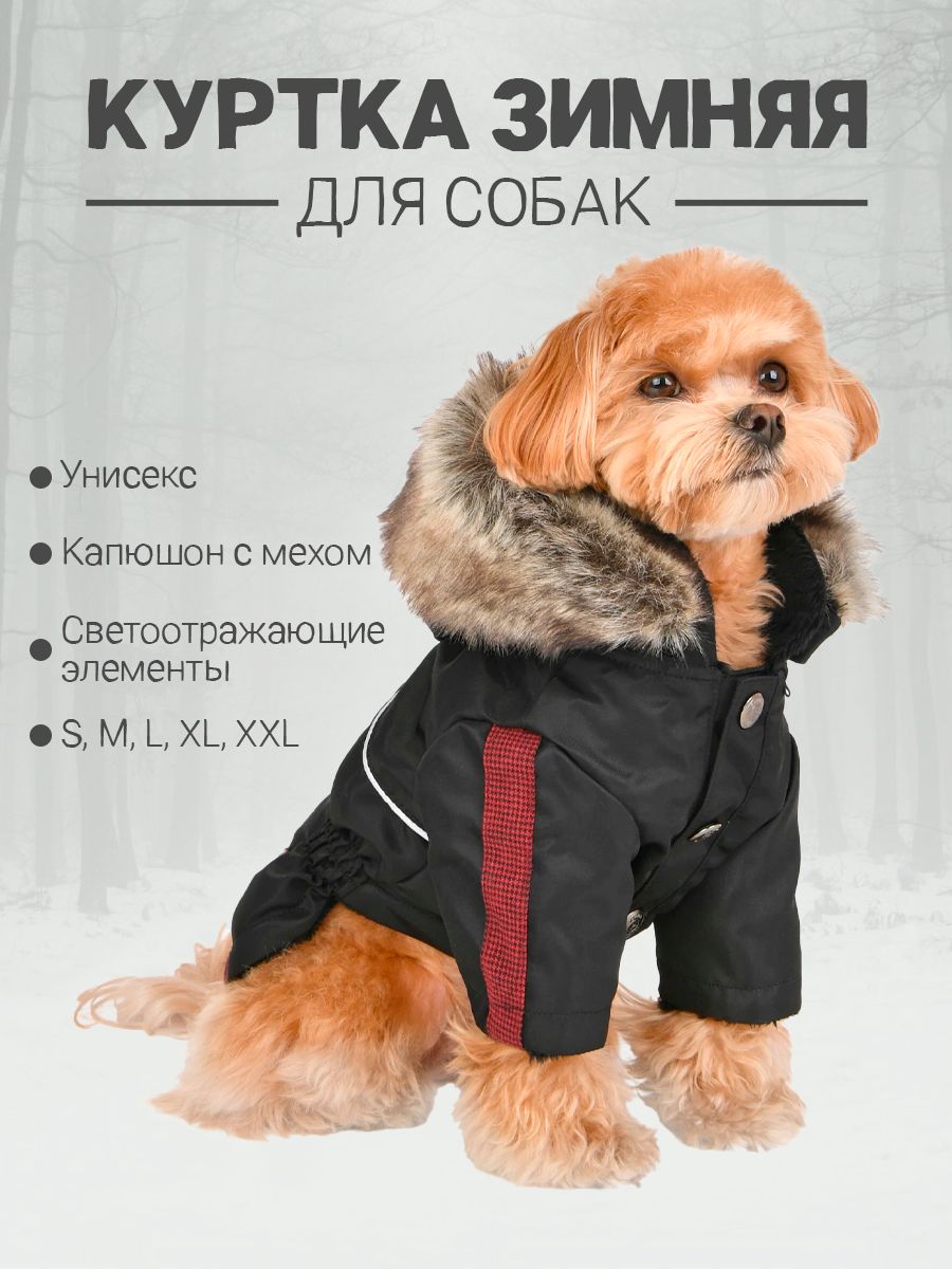 Инфографика для WB