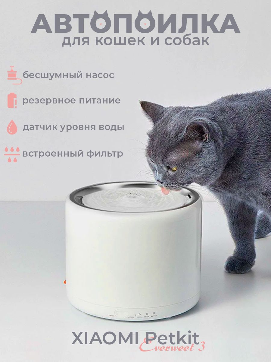 Инфографика для OZON