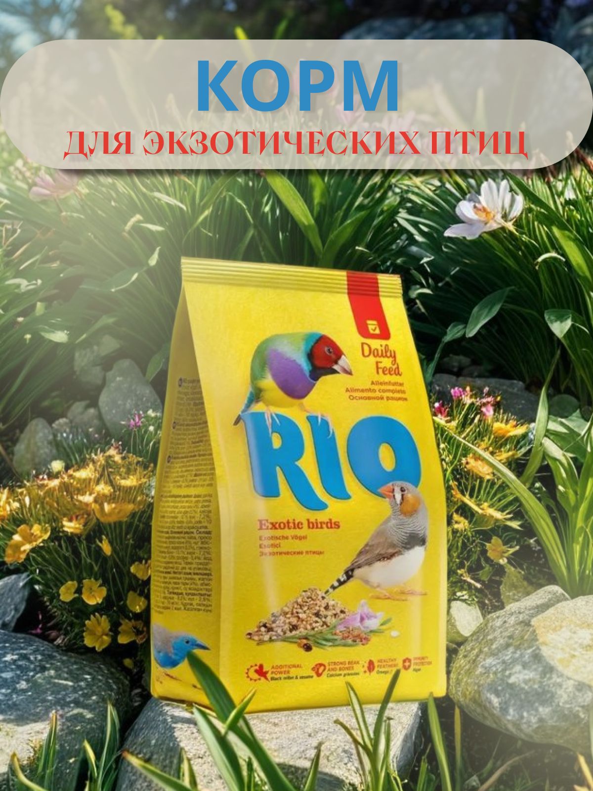 дизан карточки