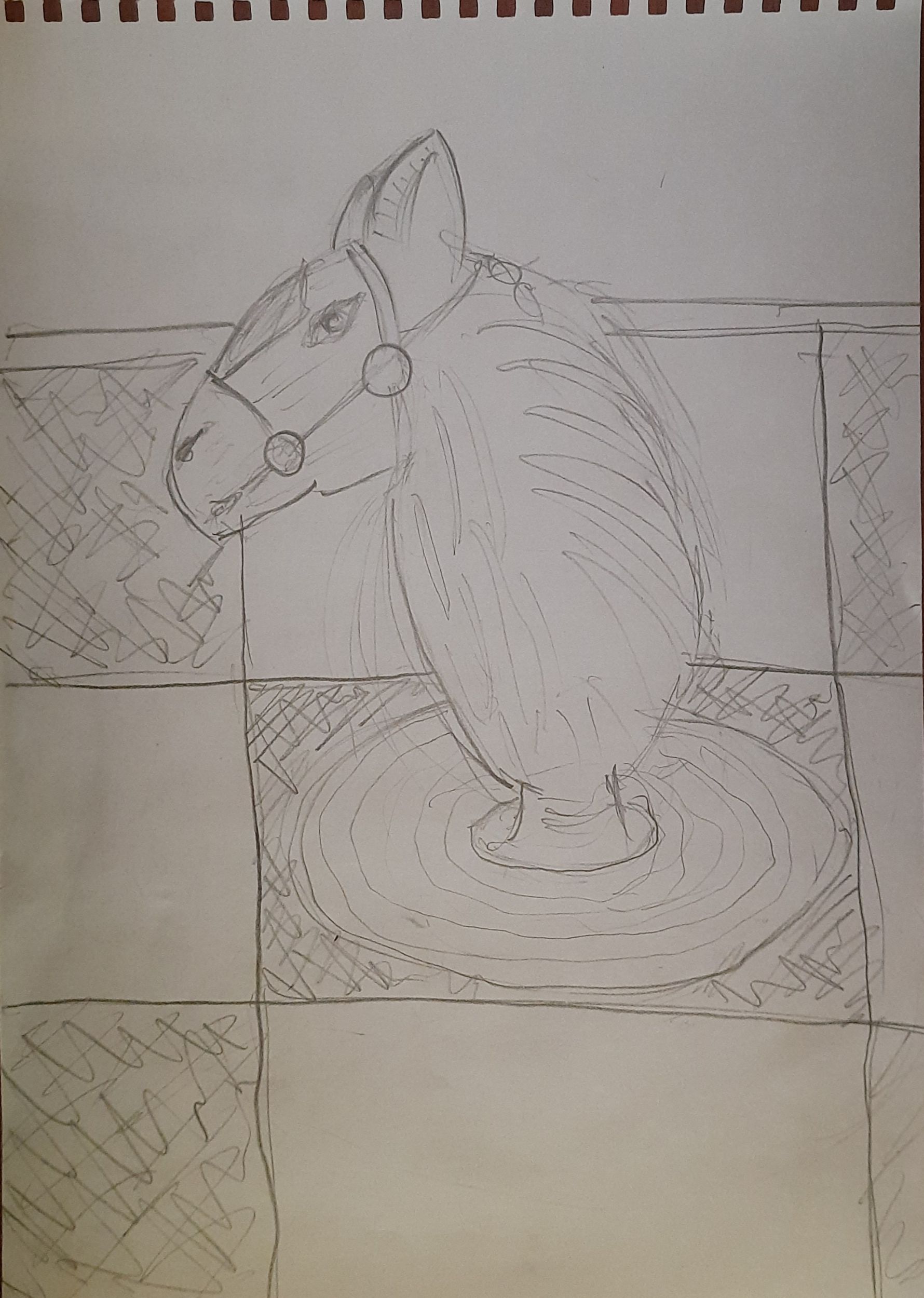 мат конём