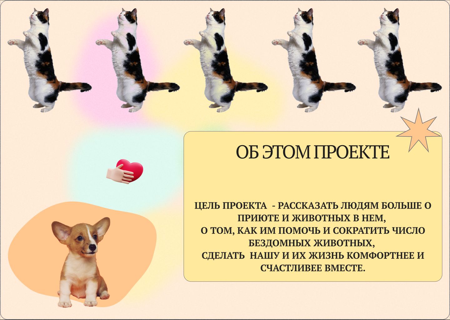 Приют для бездомных животных Пиф