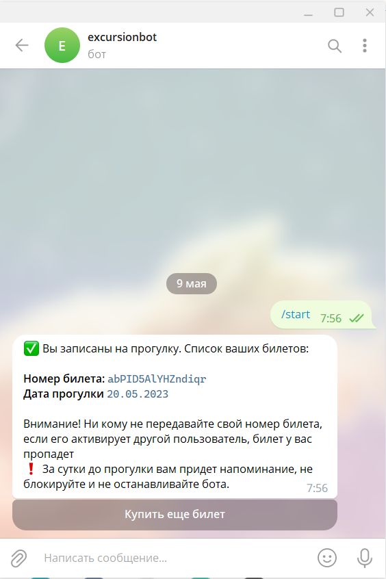 Прогулки