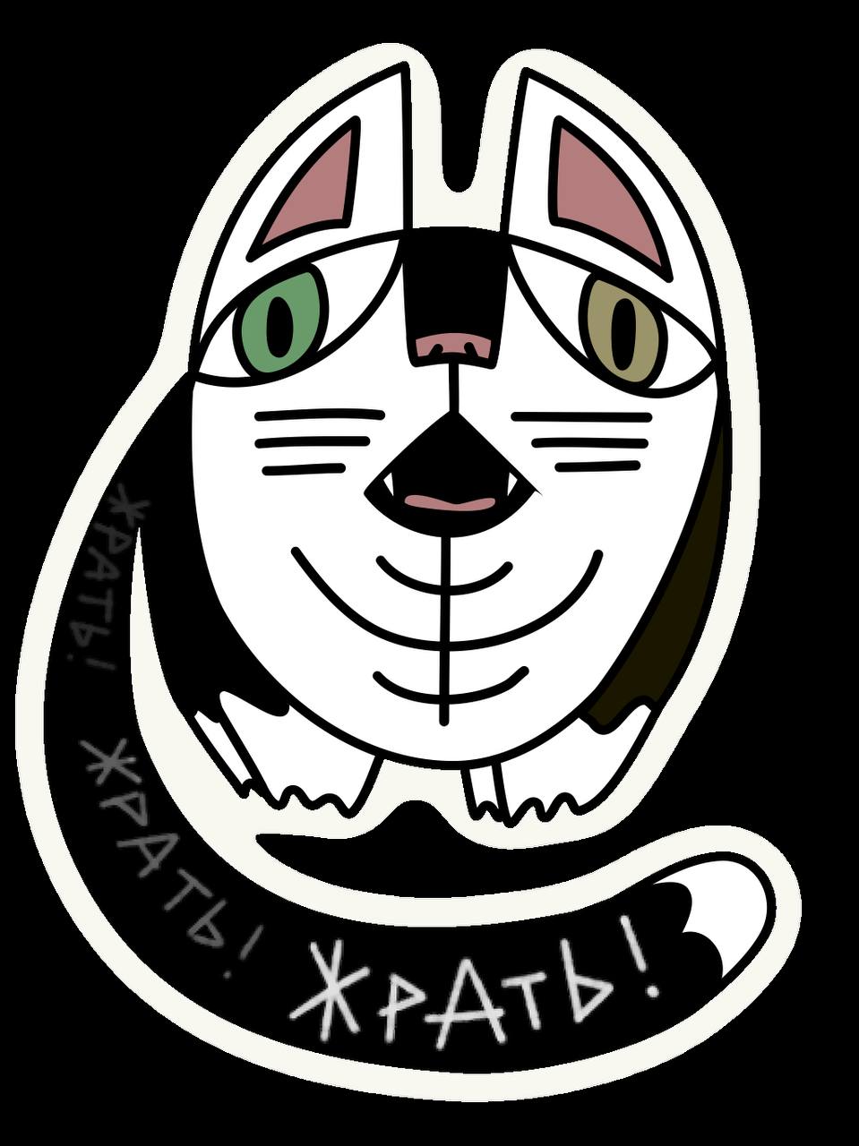 Мой кот