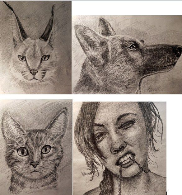 Рисунки