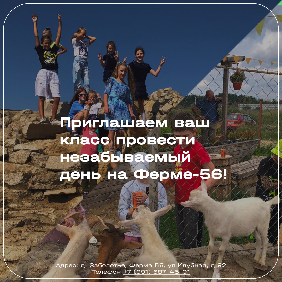 Постеры для анонса экскурсии