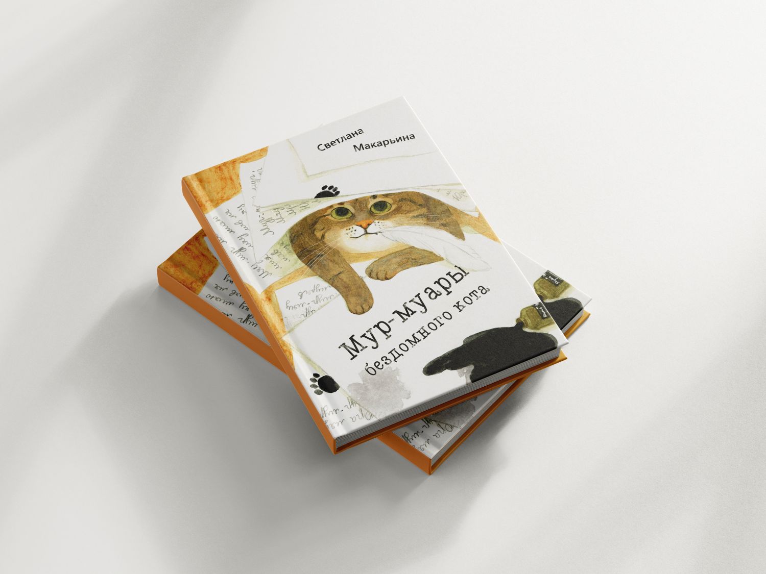Верстка детской книги "Мур-муары бездомного кота"