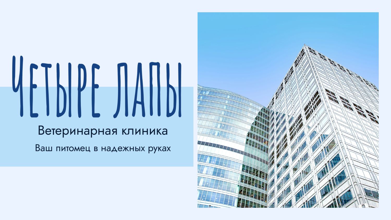 Презентация ветеринарной клиники