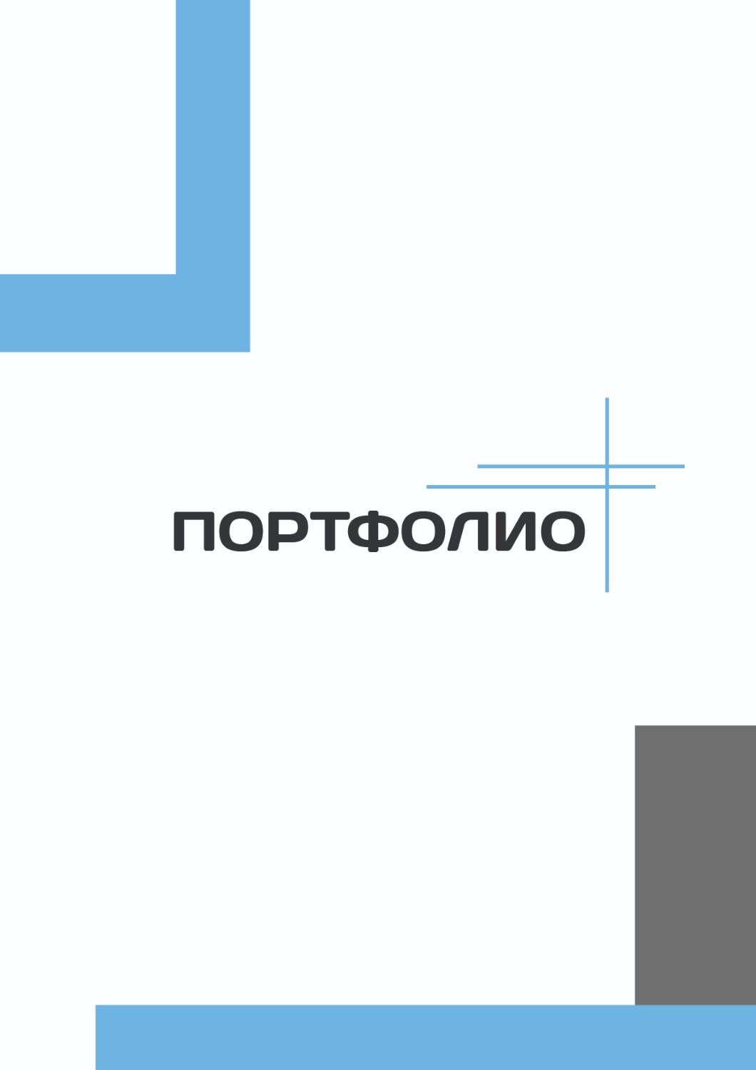 Портфолио