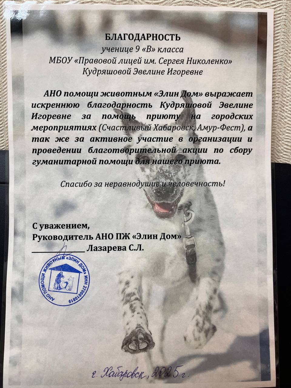 Волонтерская деятельность