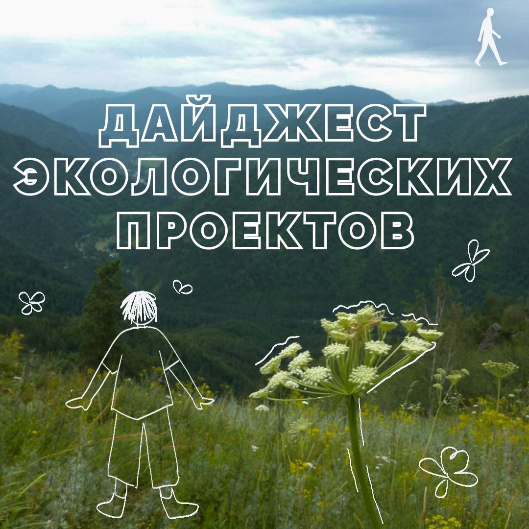 Дайджест экологических проектов