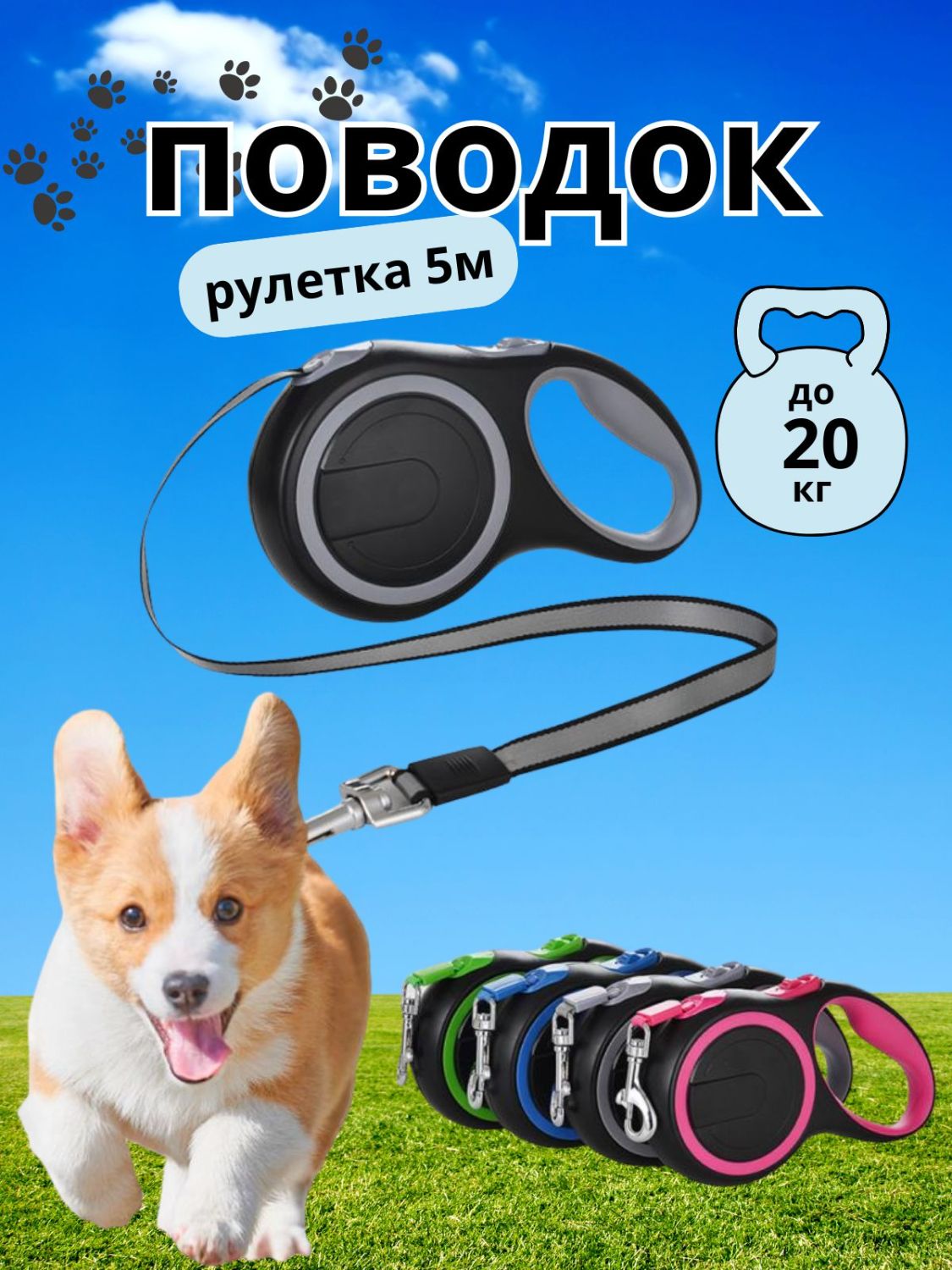 Поводок