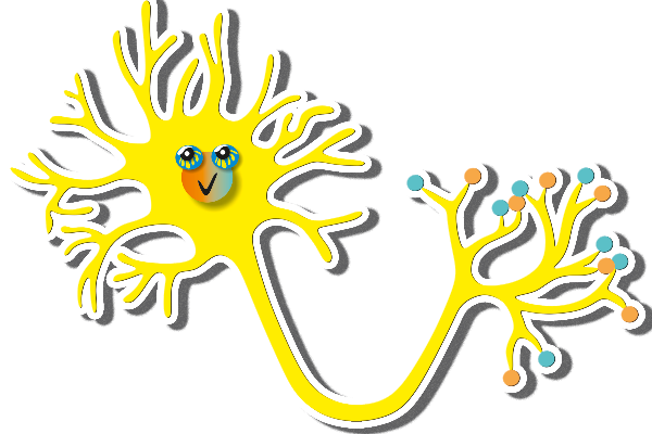Нейрон \ neuron