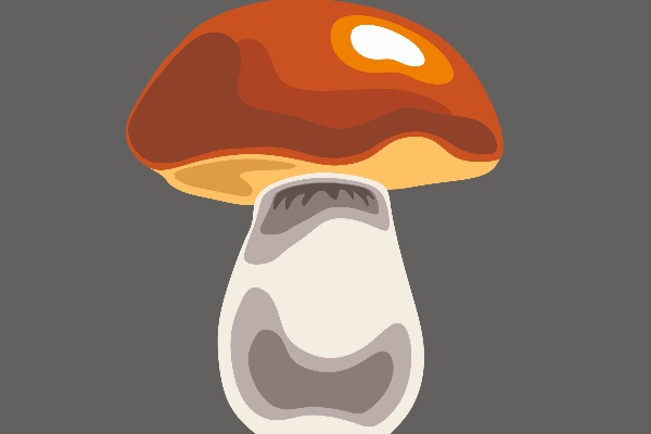 гриб / mushroom