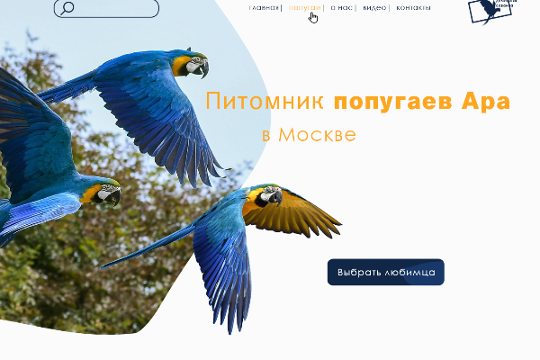 Лендинг для питомника попугаев