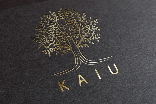 Логотип и фирменный стиль для ресторана азиатской еды KAIU
