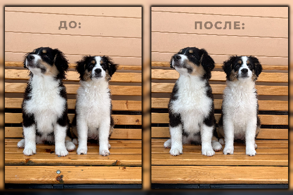 Ретушь и обработка.