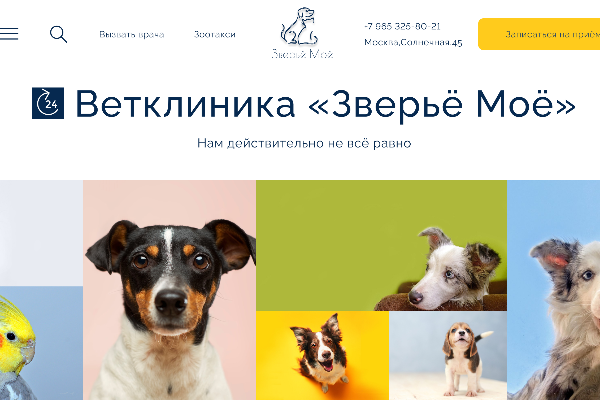 Landing Page для ветеринарной клиники