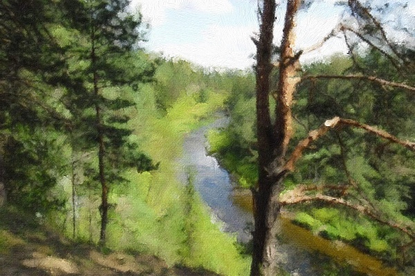 Холст/масло