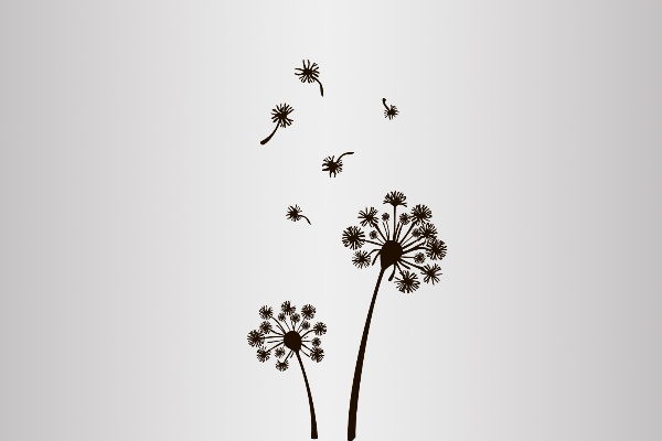 vector graphics