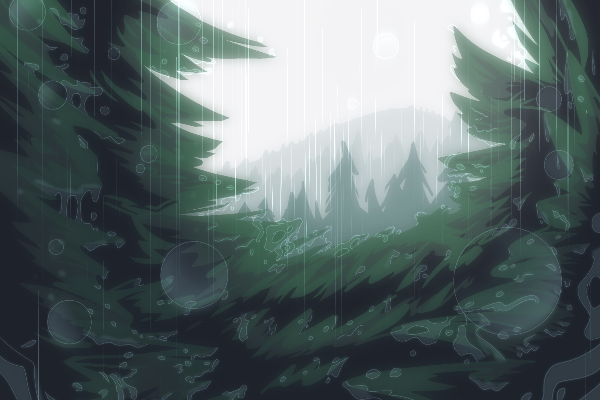 Rain and fog in the forest