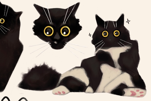 ☆кот☆