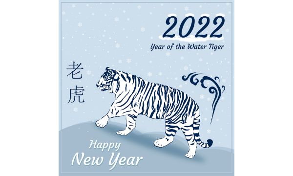 Happy new year vector card 2022 year of the water tiger design