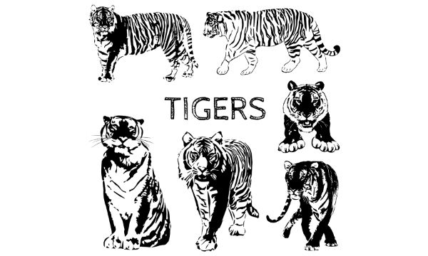 Tigers classical black white design set