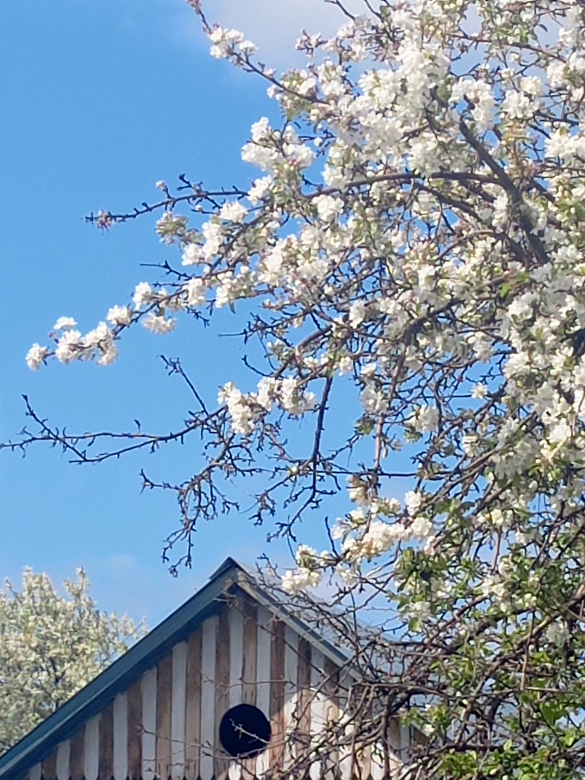 Красивое разное