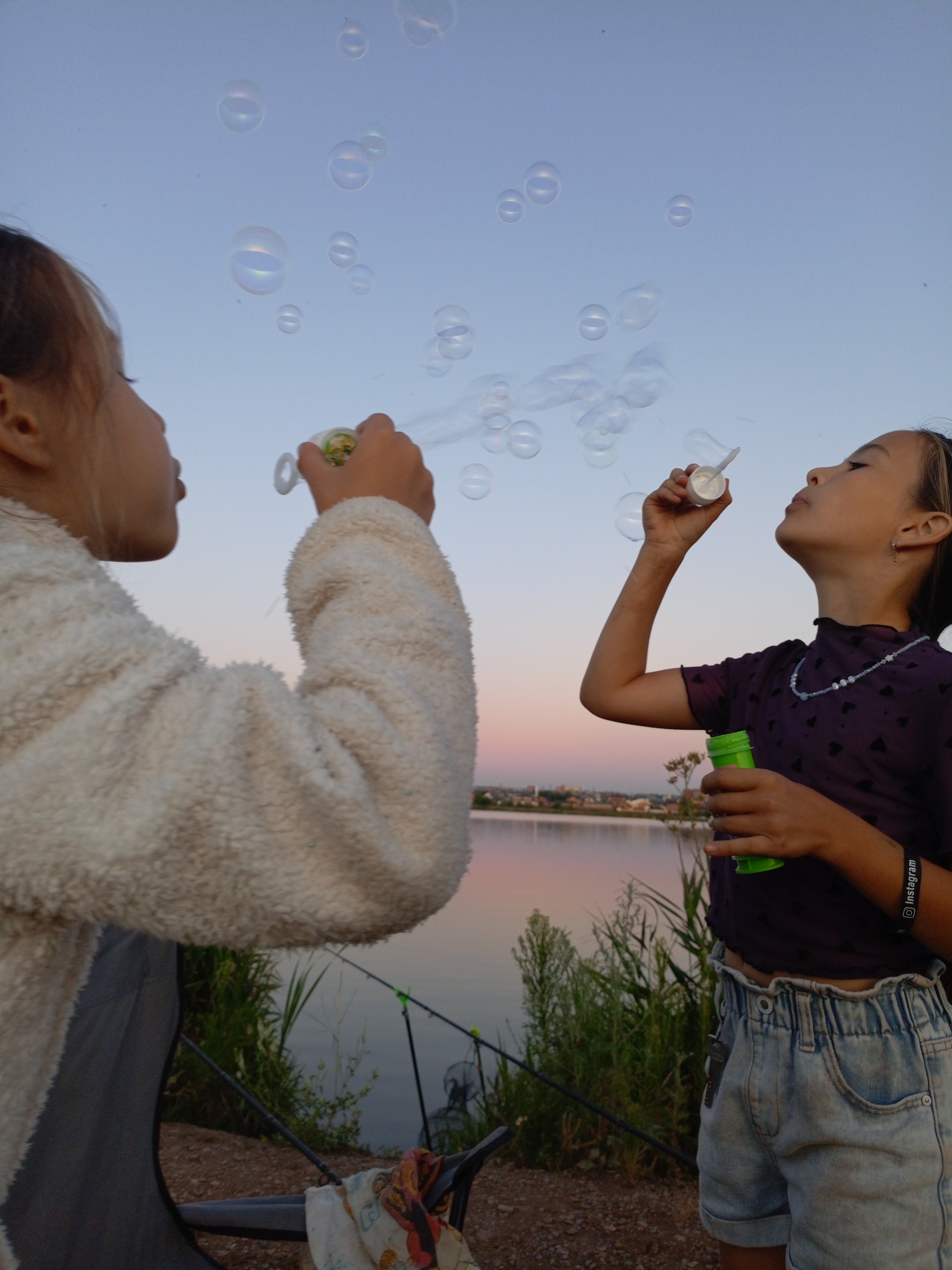 Племянницы