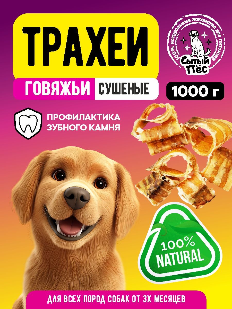 МП