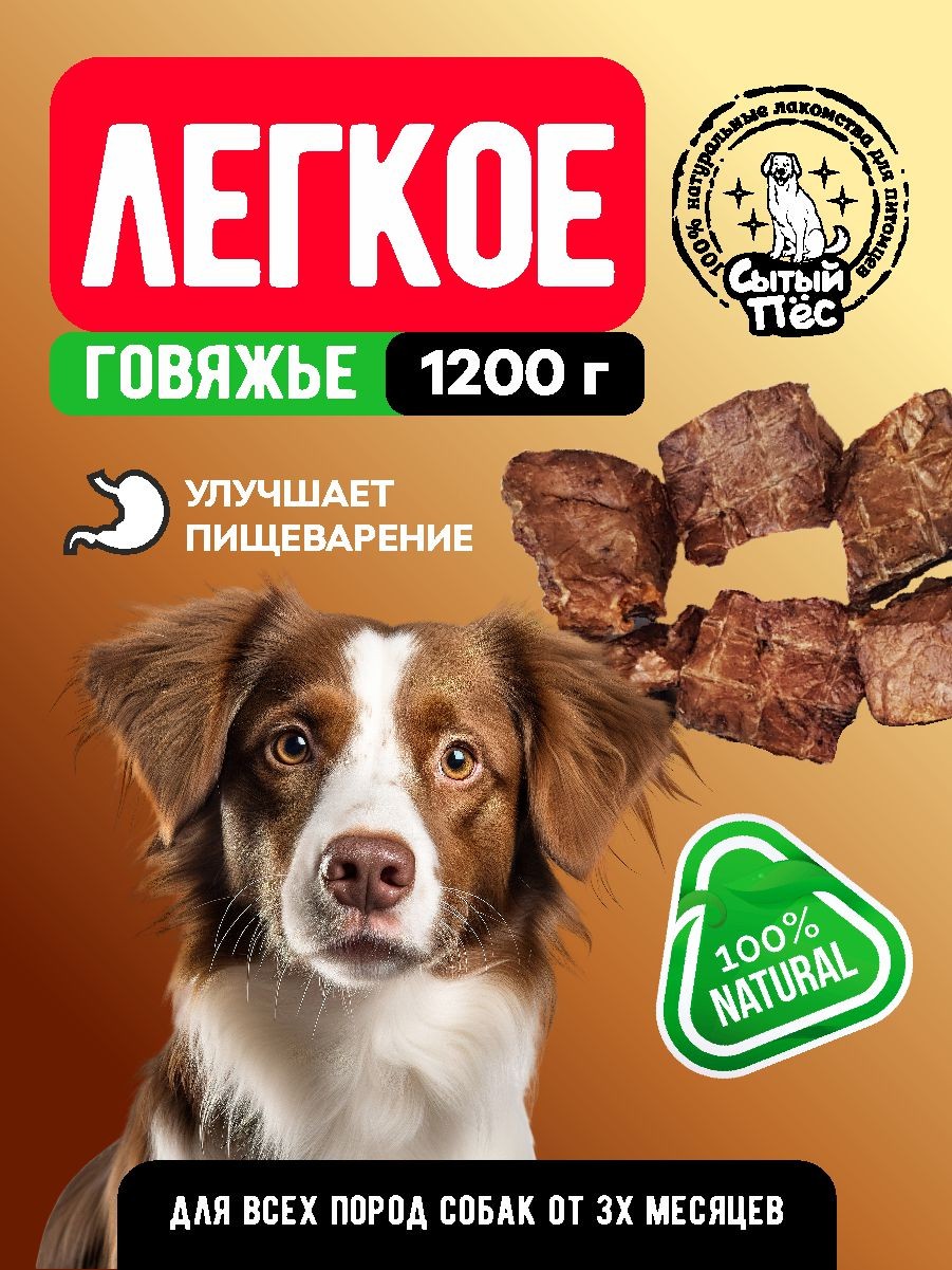 МП