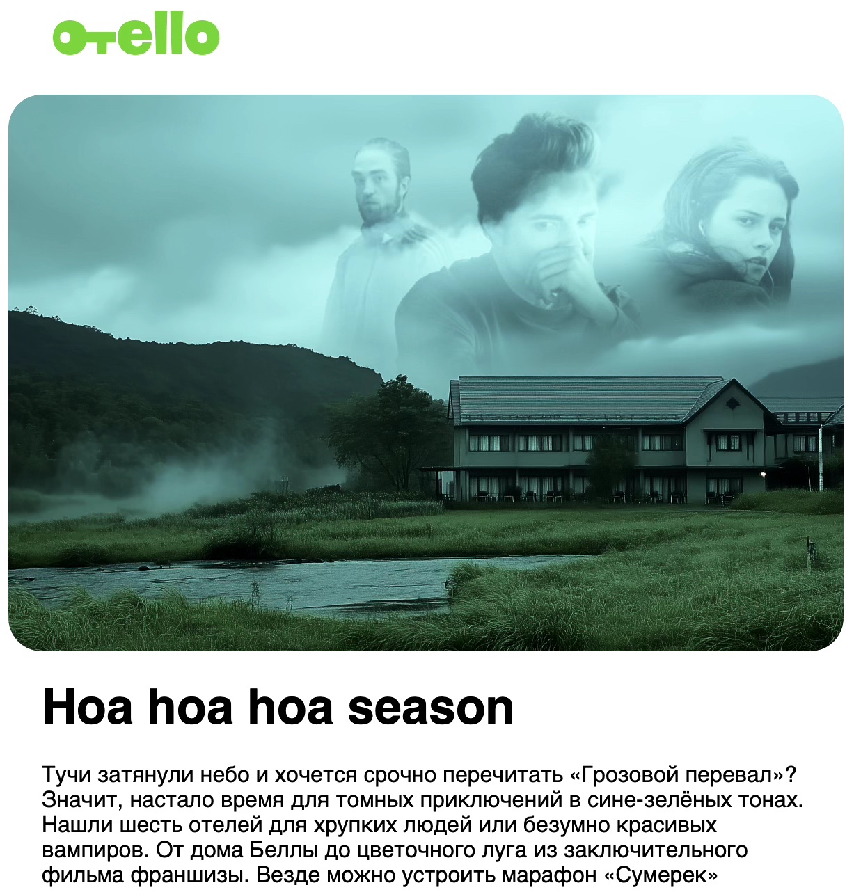 Hoa Hoa Hoa season