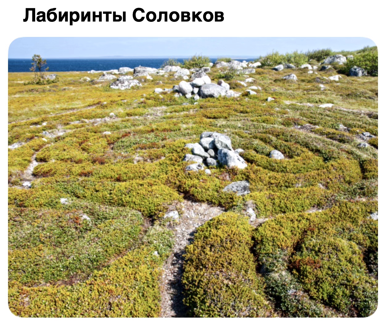 Небывалые близи и дали